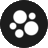 sarahelizabethrises.com favicon